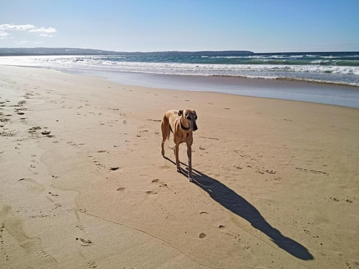 Beachcomber - Pet Friendly Merimbula Exteriér fotografie